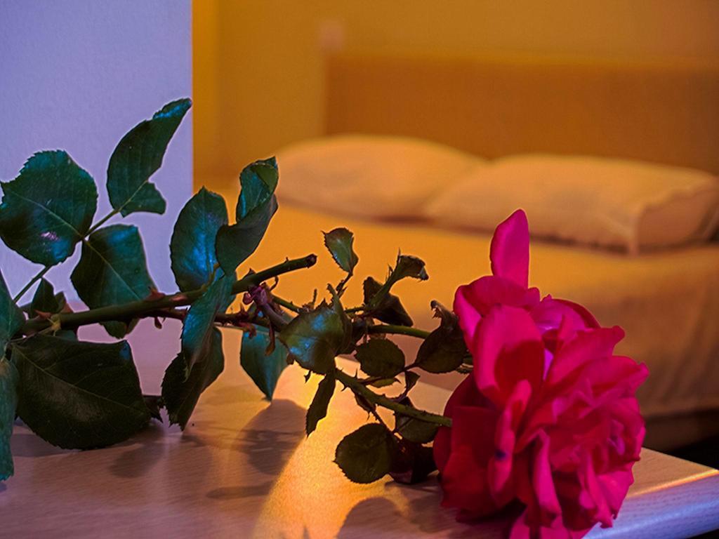Kriva Resort Elbasan Luaran gambar